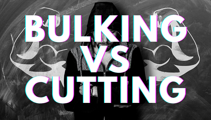 bulking vs cutting
