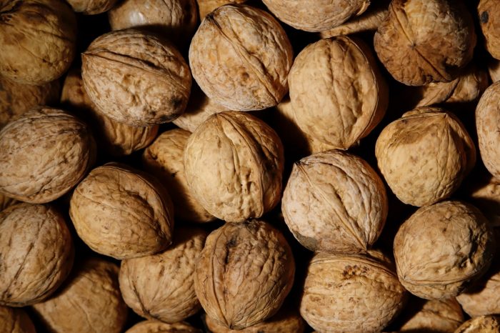 a group of walnuts
