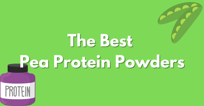 best pea protein powders