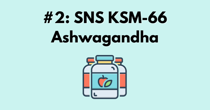 KSM-66 ashwagandha