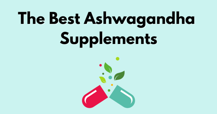 best ashwagandha supplements