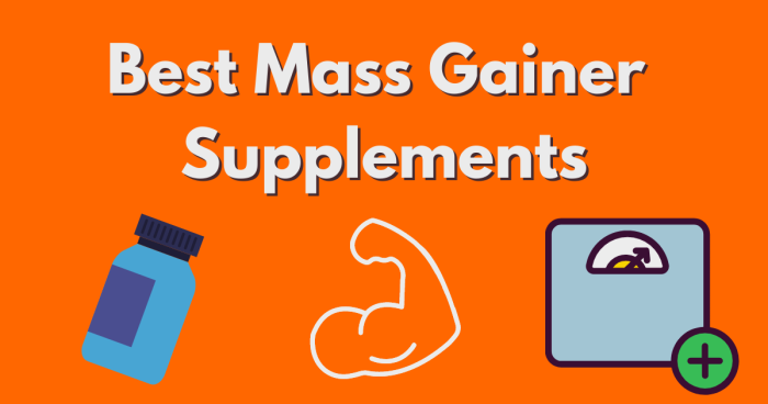 best mass gainer supplements